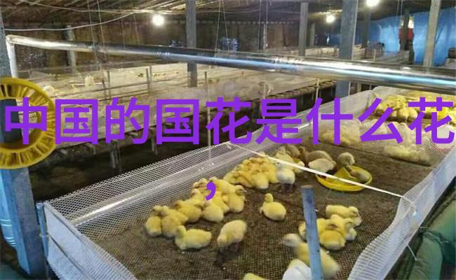 神话传说故事集真实神话故事汇编