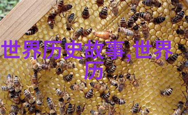 地底生命奇遇 探寻地下世界中的生物多样性