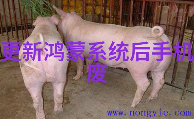 古代民间传说汇编探索神话故事背后的文化深度