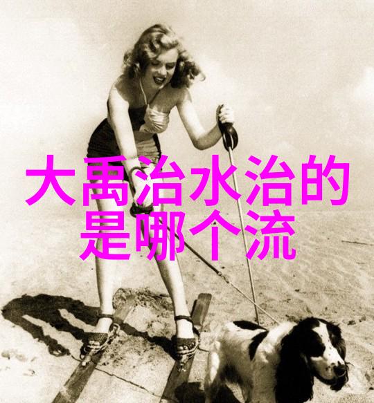 元朝中国的称谓从大元到中原