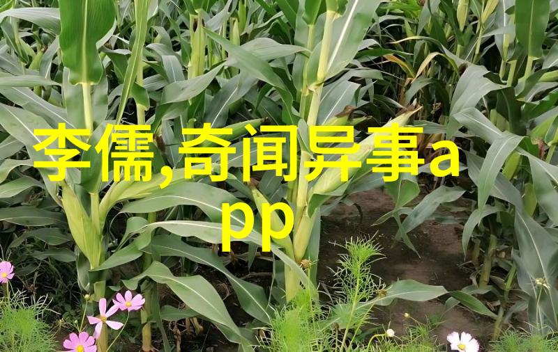 2022年奇闻异事集萃未解之谜与惊世之举