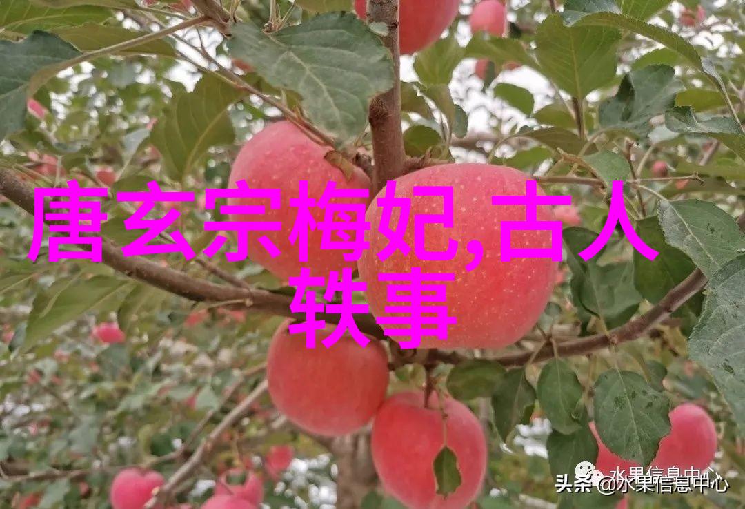 黄帝传说中华民族的创始人故事