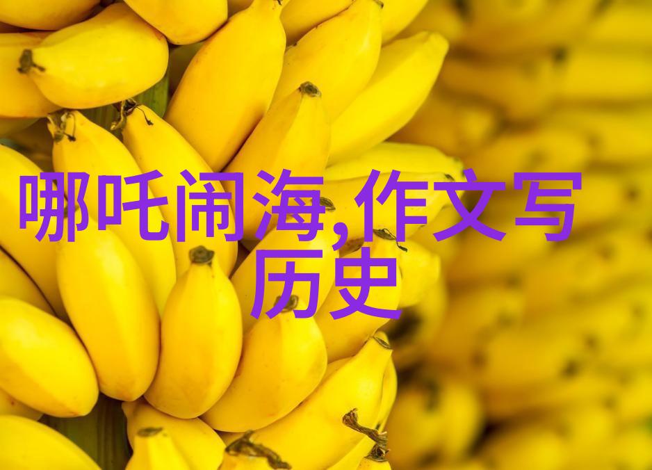 郑和下西洋探索未知世界维护大明帝国安全