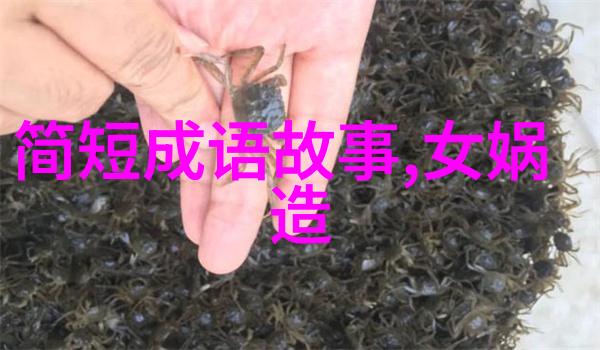 谭人凤军事视频中的鹰眼狙击女王