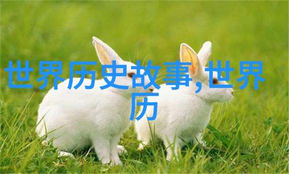 明朝的另一面历史课本中被遗忘的真相