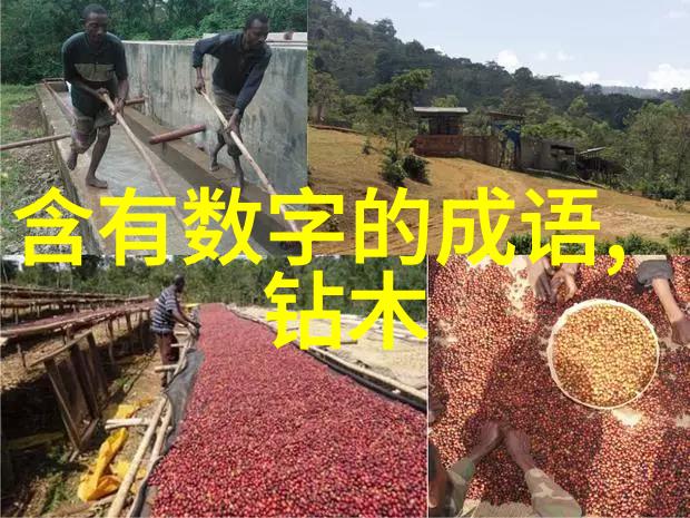 三人运动共享健康之旅的秘密武器