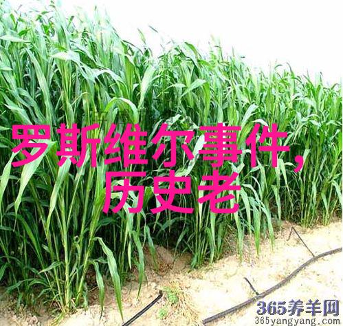 中国古代名士野史趣闻墨客幽梦在这篇文章中我们将探索那些名士们在日常生活中的小确幸揭开他们不为人知的趣