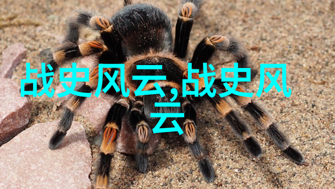 中国经典故事我和我的老爸爸重逢在聊斋的奇幻之旅