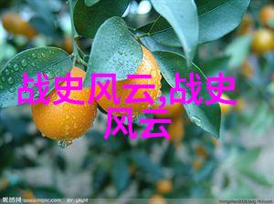 农村老人的故事时光传承的风华