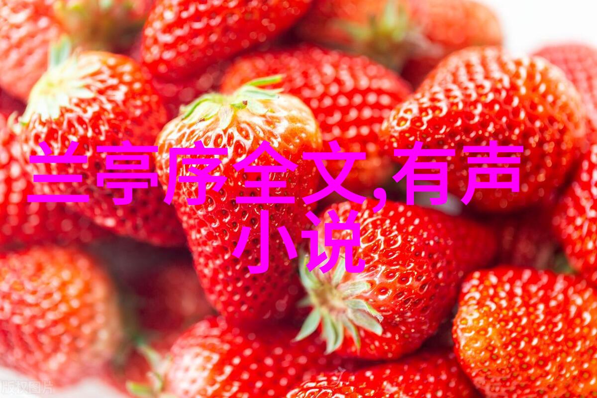 时光的画家匆匆落幕中的梵高