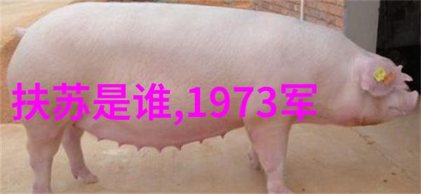 未列入课程的大师们那些影响了时代的心灵导师
