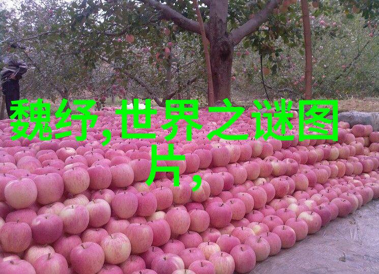 黑月光拿稳BE全文TXT我是如何在网上找到的那份神秘的BE全文TXT的