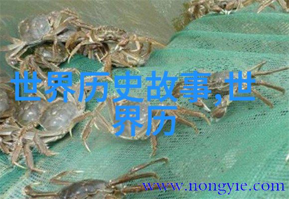 从心灵深处流淌的历史农村老人的民间故事背后的意义是什么