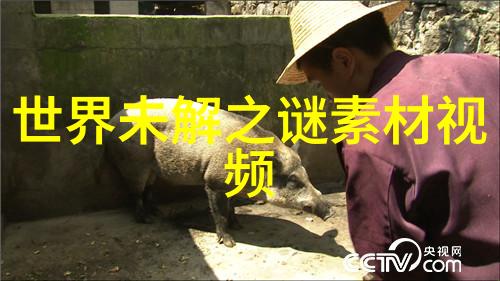 中华神话故事-龙腾四海探秘中国古代神话中的海洋巨兽