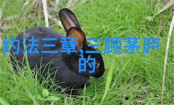 黄大临和黄庭坚究竟是怎样的兄弟情谊他们的关系是否也能被称作一种艺术形式呢