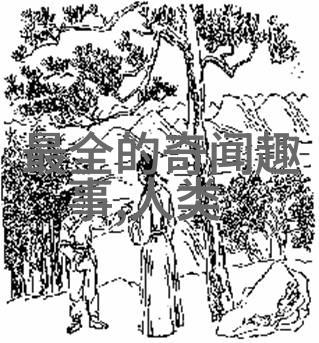 婆罗洲战役的详细经过是怎样的最后结果如何