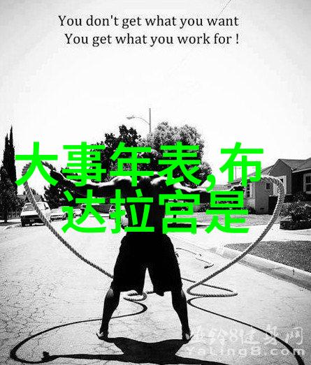 如何通过研究这十个代表性案例来理解人类文明的发展