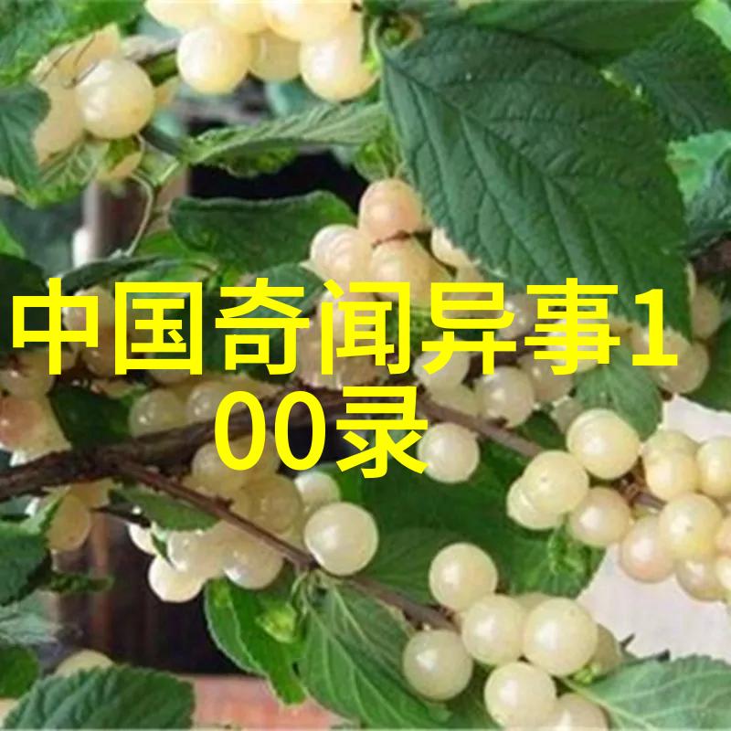 四年级学生探秘历史人物背后的真实故事是什么