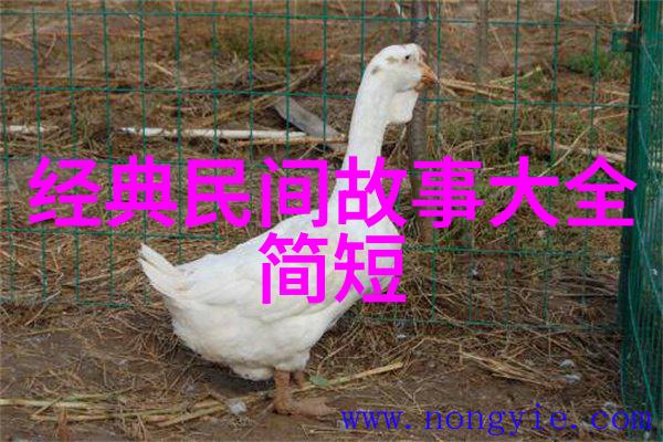 神话传说精选探秘世界十大经典神话故事古埃及希腊罗马印度日本等文化中的传奇故事