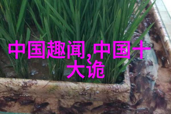 中国经典短篇历史故事100篇钻石姑娘的传奇之旅
