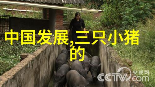 免费故事会民间故事大全传统佳作无限精彩