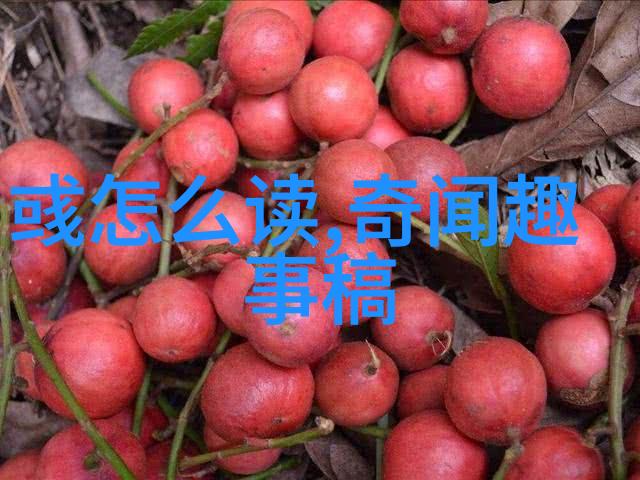 辛亥革命与五四运动两场重塑中国命运的浪潮