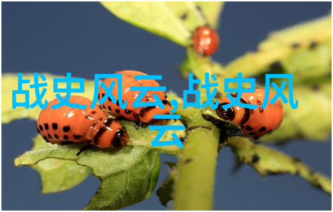 古今知识渊博追学网的历史探索