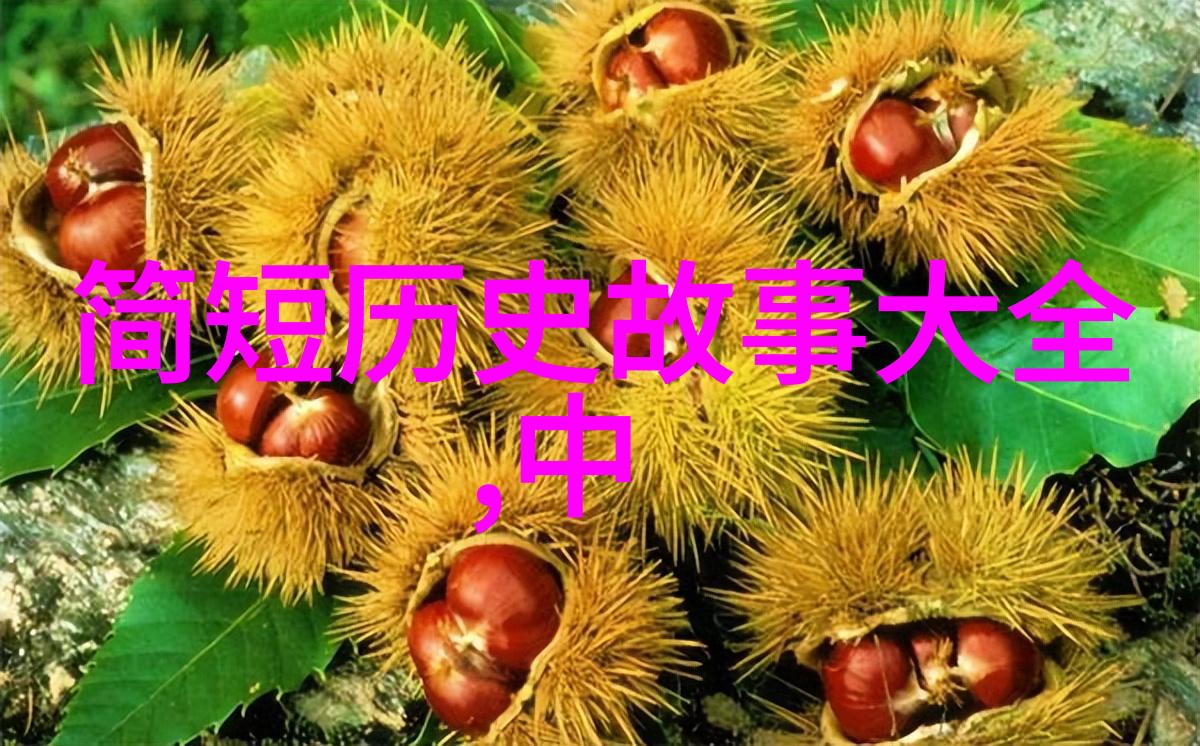 明步影片全集免费下载探索日本美食文化的奇妙之旅