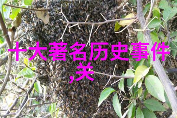 数据解析揭秘古代书法界的顶尖大师