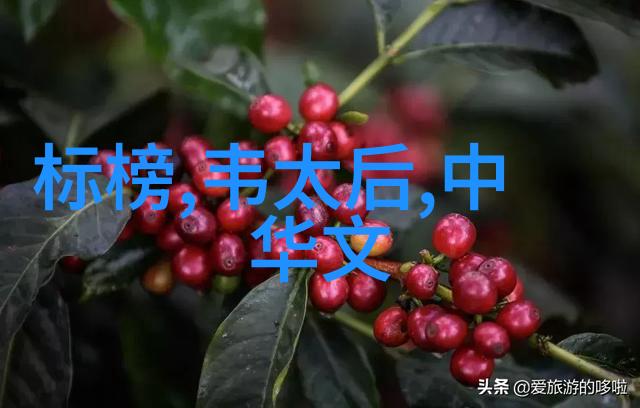 冷教授的盛宴之旅巨型座椅下的美味盛宴