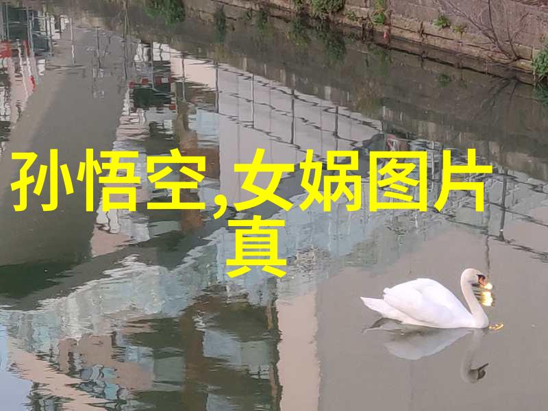 金不换金振秀老戏曲电视剧大全中的豫剧丑行演员 金不换在自然景观中表演
