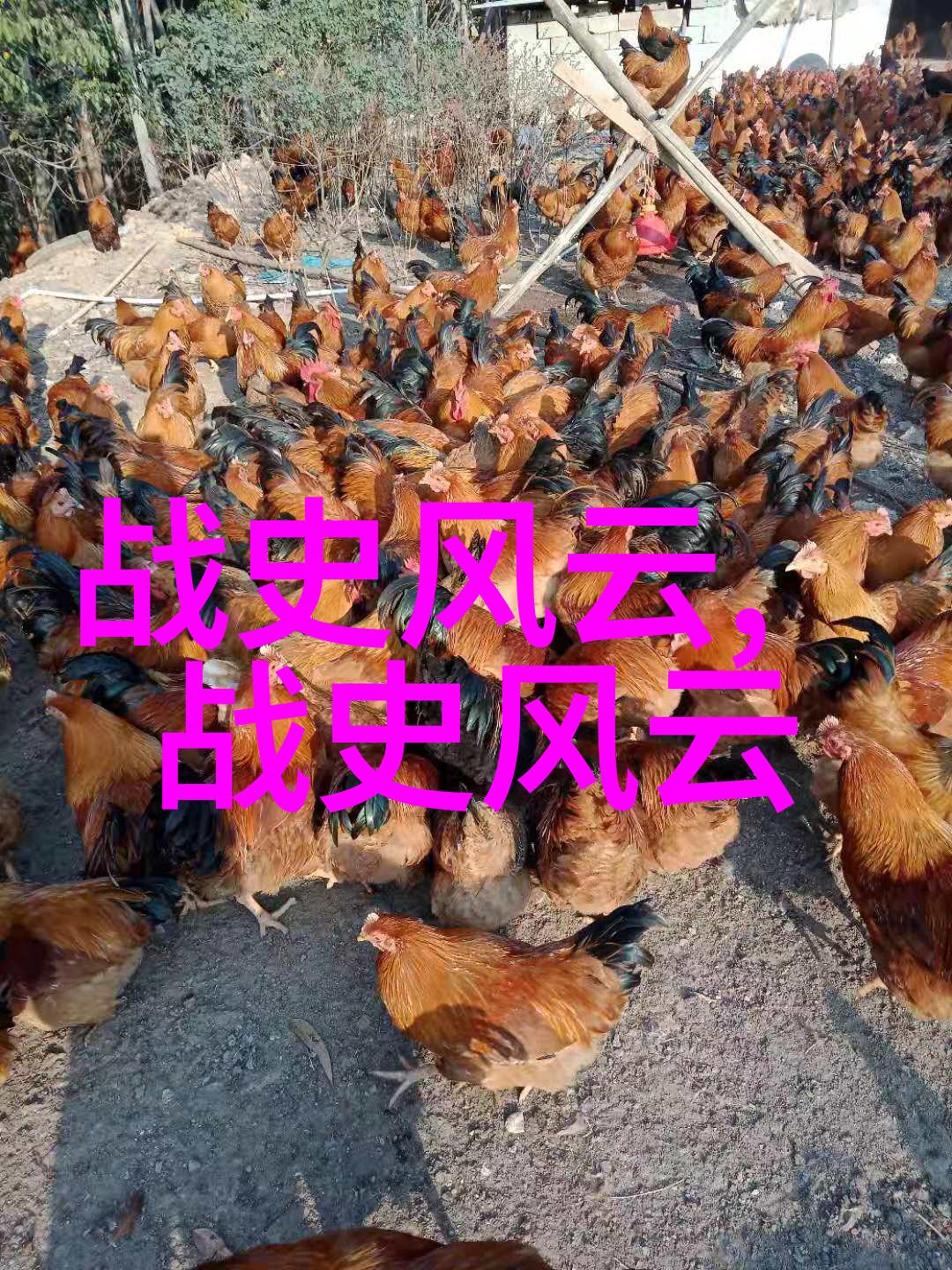 古秘录诡异的藏族迷宫与失传的宝藏