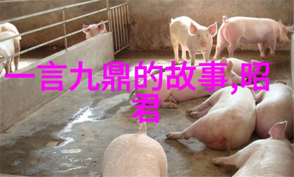 春意盎然下的情网交织
