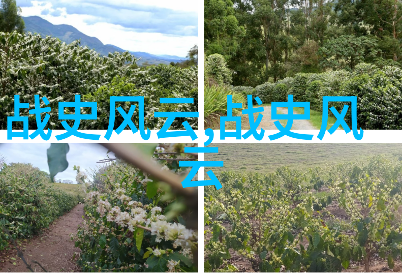 一夫多妻之谜爱情与嫉妒的无形边界