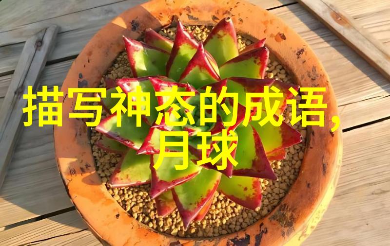 关于中国历史人物的故事我和古人的对话秦始皇与他的帝国