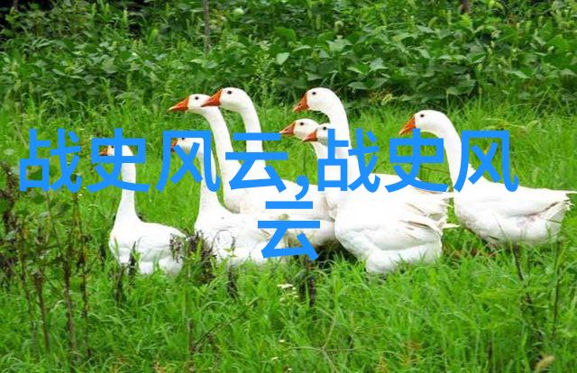 重生铁血战将我是江湖中的亡魂怎奈命运让我重返人间穿越回了一个古老的时代这里的人们以武会斗以勇当王我要