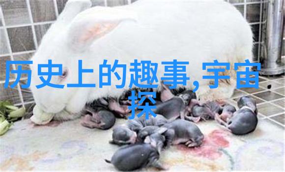 探寻源头研究那些被遗忘但仍值得一读的中国经典民间故事
