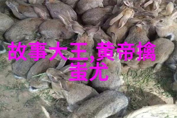 揭秘407事件追踪历史的血腥痕迹