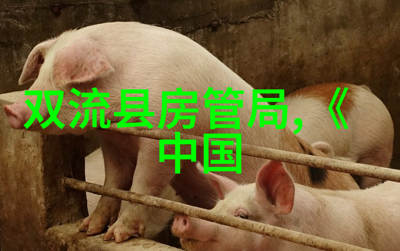 唐隋两朝的历史关联与对比分析