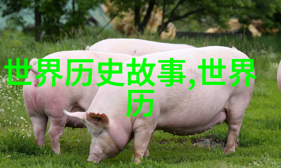 河南坠子回龙传马伟国家二级演员的戏剧之旅
