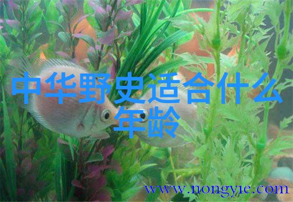 世界奇闻录未解之谜与惊人的真实故事