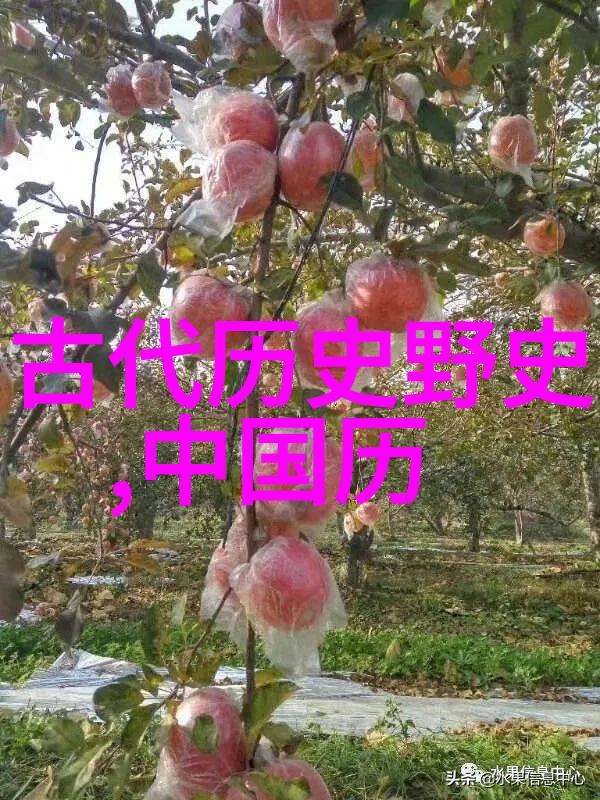 丰坊书法家十大名人古代物品展