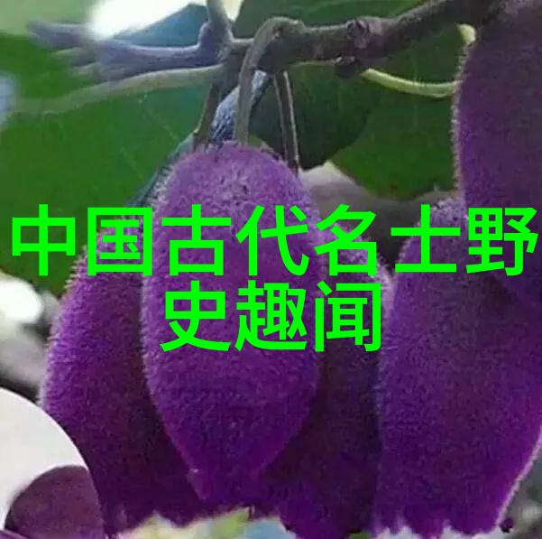 深夜的阴影之下揭秘那些让人心跳加速的冷知识