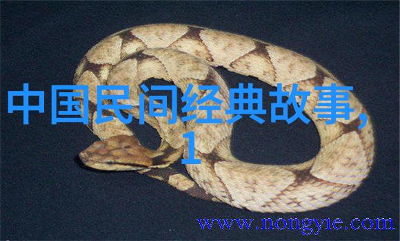 至今无法解释的历史奇迹百年谜团