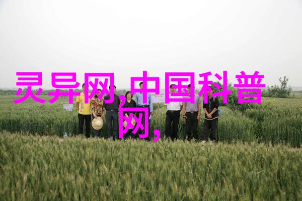 唐朝的辉煌与地位探索当时世界中的排名之谜