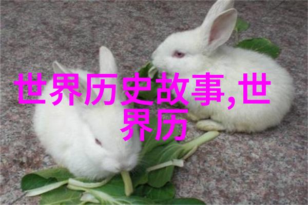 中国历史人物传记古代帝王伟大的发明家与哲学家