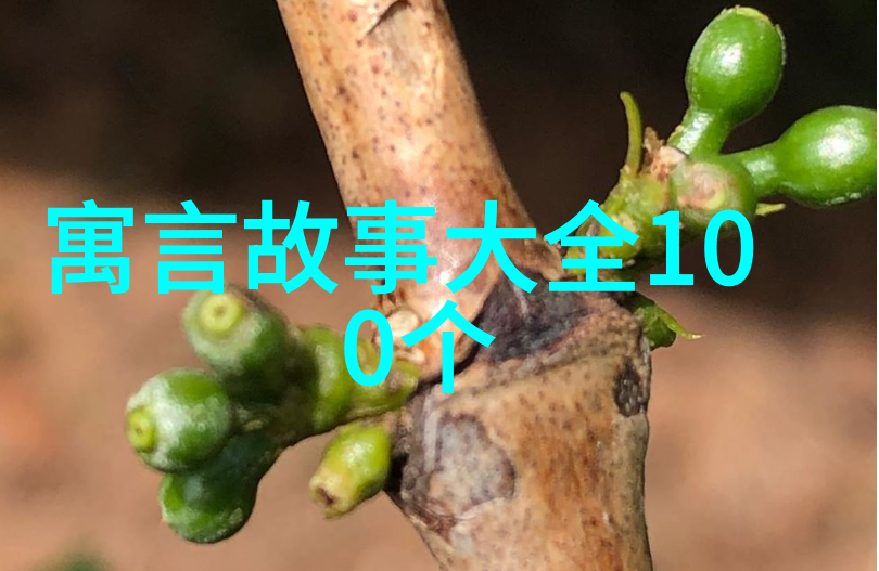 绿茵梦回全能绿茶的替身前妻传奇