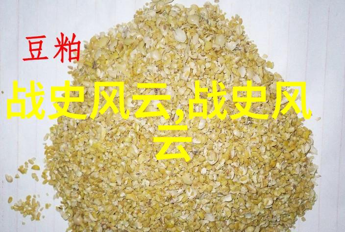 岳飞南宋民族英雄的悲壮故事