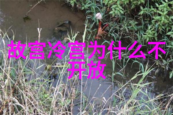 超自然现象揭开隐藏在历史中的100个神秘事件