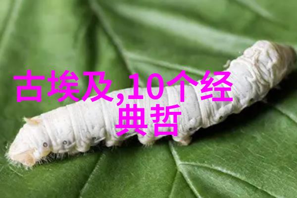 触摸欲望的边界浅文案的食物摄影艺术探索